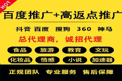 行业领先企业如何运用SEM进行精准营销